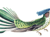 Przykładowy element graficzny (styl ilustracji) 